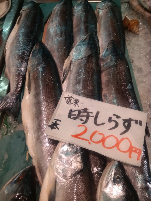 魚 (1)